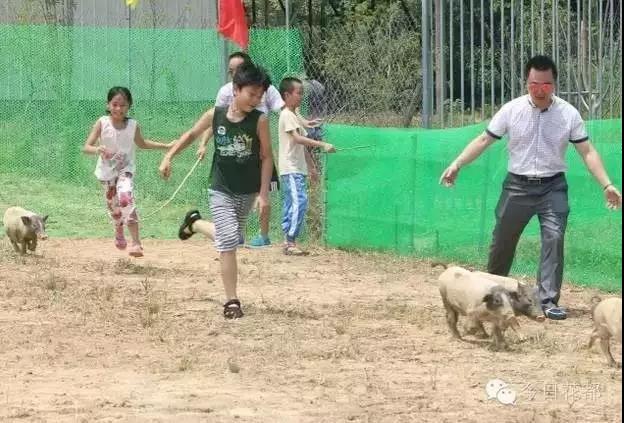 熱烈祝賀廣州市國藝農業(yè)生態(tài)有限公司掛牌成功！