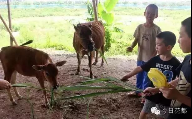 熱烈祝賀廣州市國藝農業(yè)生態(tài)有限公司掛牌成功！