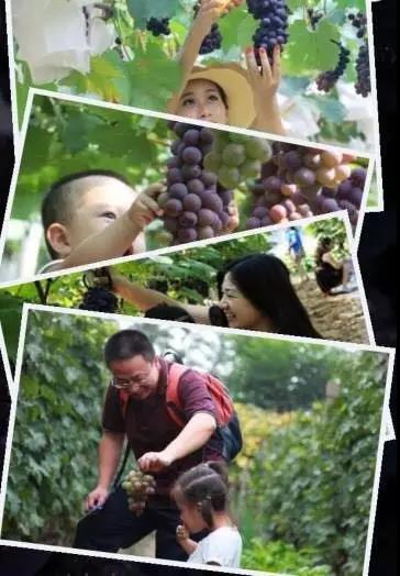熱烈祝賀廣州市國藝農業(yè)生態(tài)有限公司掛牌成功！